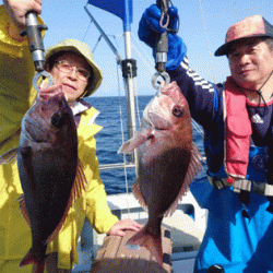 遊漁船ブルーウッズ 釣果