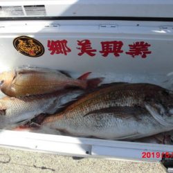 大進丸(新潟) 釣果