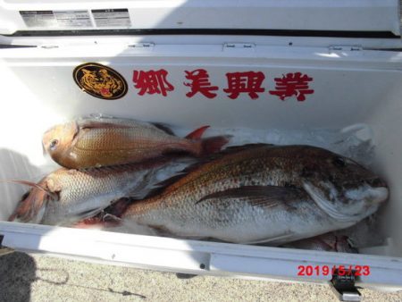 大進丸(新潟) 釣果