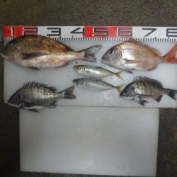 のとじま臨海公園海づりセンター 釣果