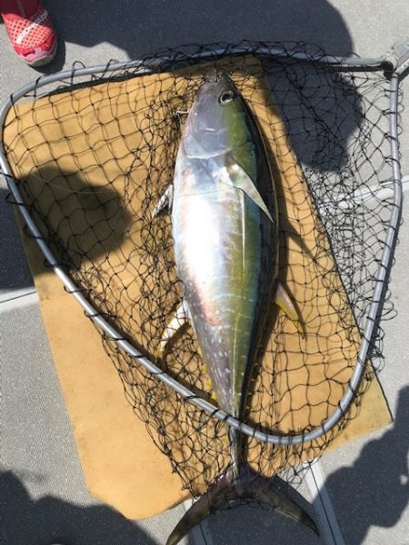 へいみつ丸 釣果