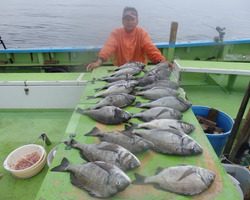 久里浜黒川本家 釣果