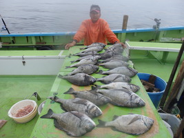 久里浜黒川本家 釣果