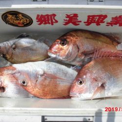 大進丸(新潟) 釣果