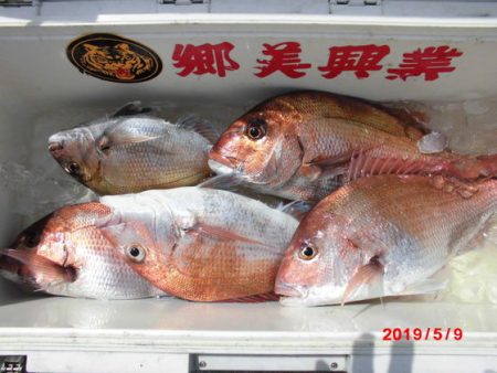 大進丸(新潟) 釣果