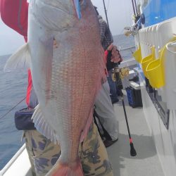 遊漁船 新鋭丸 釣果