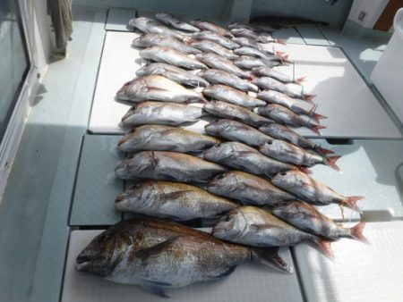 遊漁船 幸友丸 釣果