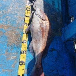 龍神丸（福井） 釣果