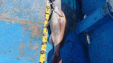 龍神丸（福井） 釣果