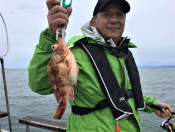 鯛紅丸 釣果
