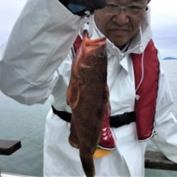 鯛紅丸 釣果