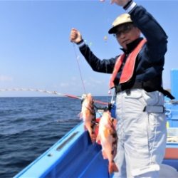 鯛紅丸 釣果