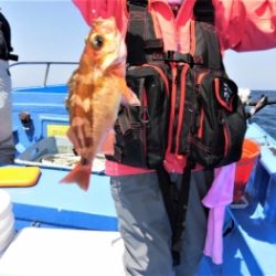 鯛紅丸 釣果