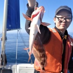 鯛紅丸 釣果