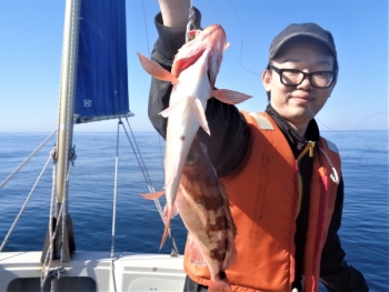 鯛紅丸 釣果