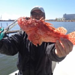 鯛紅丸 釣果