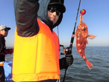 鯛紅丸 釣果