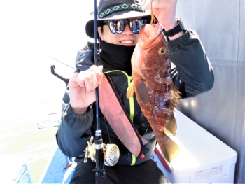鯛紅丸 釣果