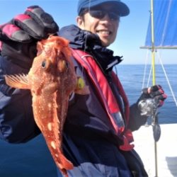 鯛紅丸 釣果