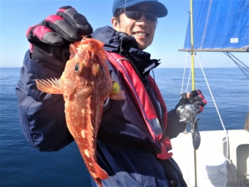 鯛紅丸 釣果
