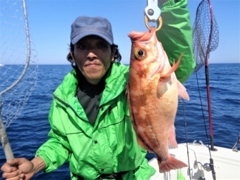 鯛紅丸 釣果
