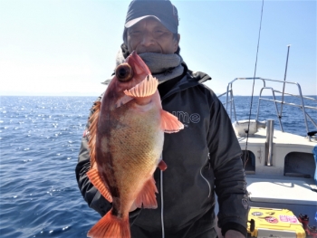 鯛紅丸 釣果
