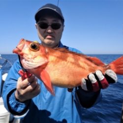 鯛紅丸 釣果