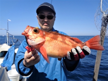 鯛紅丸 釣果