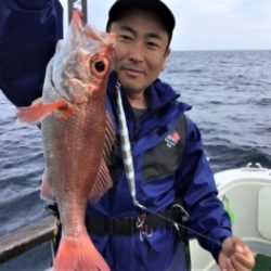 鯛紅丸 釣果