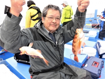 鯛紅丸 釣果