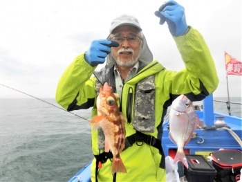鯛紅丸 釣果