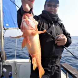 鯛紅丸 釣果