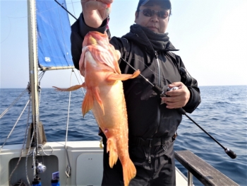 鯛紅丸 釣果