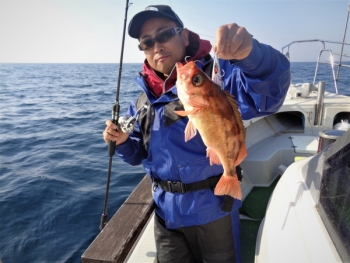 鯛紅丸 釣果