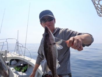 鯛紅丸 釣果