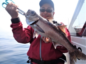 鯛紅丸 釣果