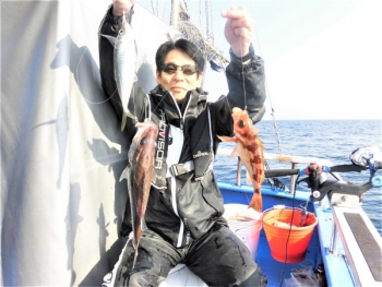 鯛紅丸 釣果