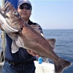 鯛紅丸 釣果
