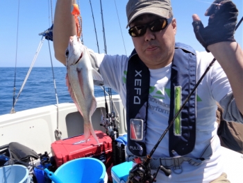鯛紅丸 釣果