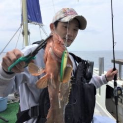 鯛紅丸 釣果
