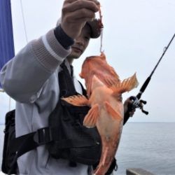 鯛紅丸 釣果