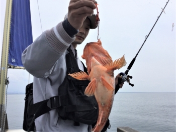 鯛紅丸 釣果
