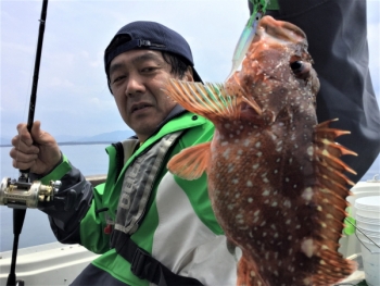 鯛紅丸 釣果