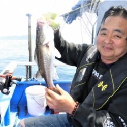 鯛紅丸 釣果
