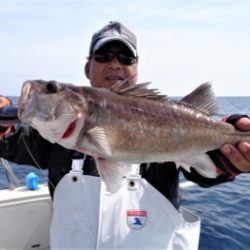 鯛紅丸 釣果