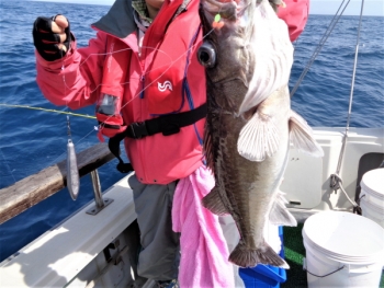 鯛紅丸 釣果