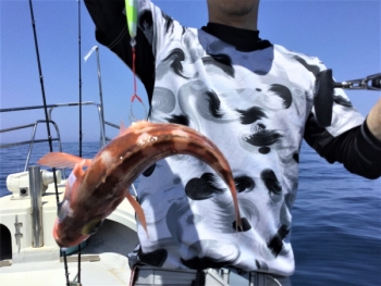 鯛紅丸 釣果
