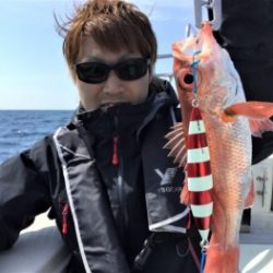 鯛紅丸 釣果