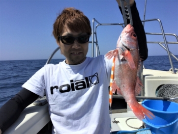 鯛紅丸 釣果