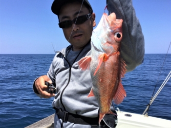 鯛紅丸 釣果